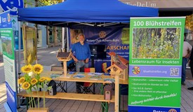 Bauernmarkt Bühl Dr. Gospos